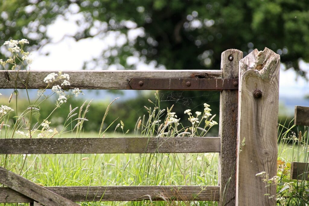 farm gate, countryside, landscape, farm, gate, nature, field, grass, fence, meadow, farmland, country, scenery, wooden, outdoors, tree, rural, farm gate, farm gate, farm gate, farm gate, farm, farm, farm, gate, gate, gate, gate, gate, fence, fence, fence, farmland, farmland, farmland, farmland