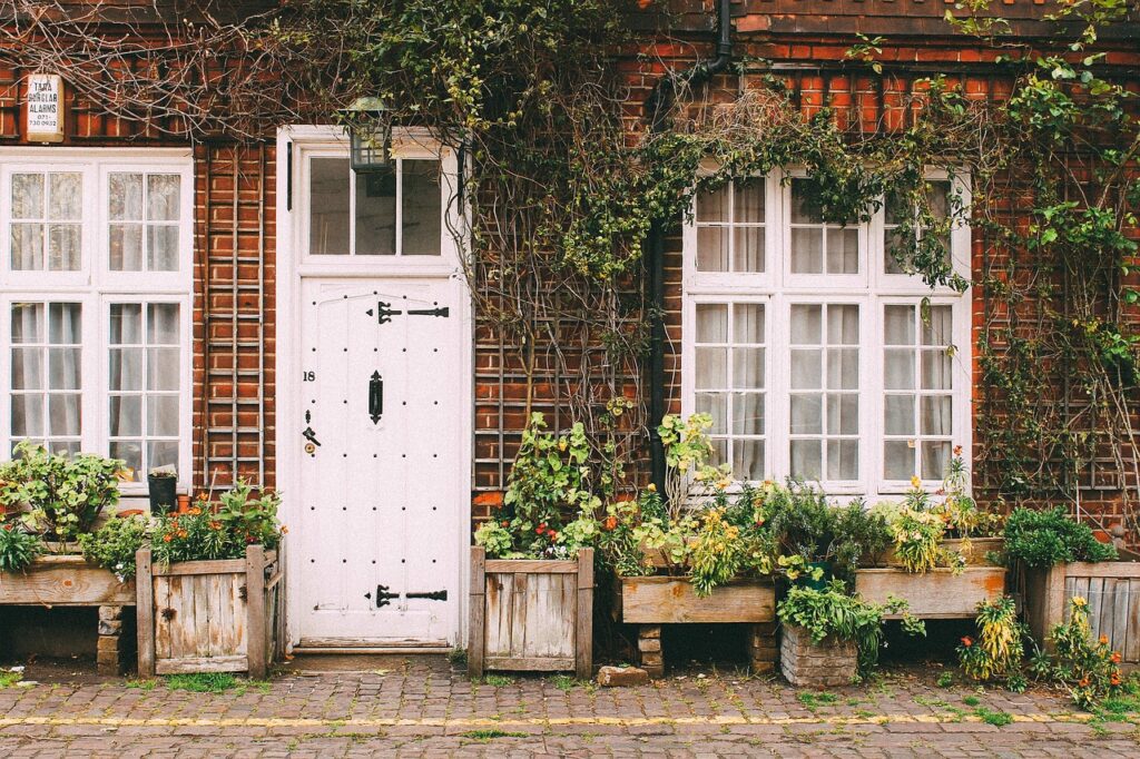 house, home, door, sidewalk, cobblestone, bricks, vines, plants, brown home, brown house, brown plant, brown door, brown plants, house, house, house, home, home, home, home, nature, home, door, door, door